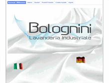 Tablet Screenshot of lavanderiabolognini.it
